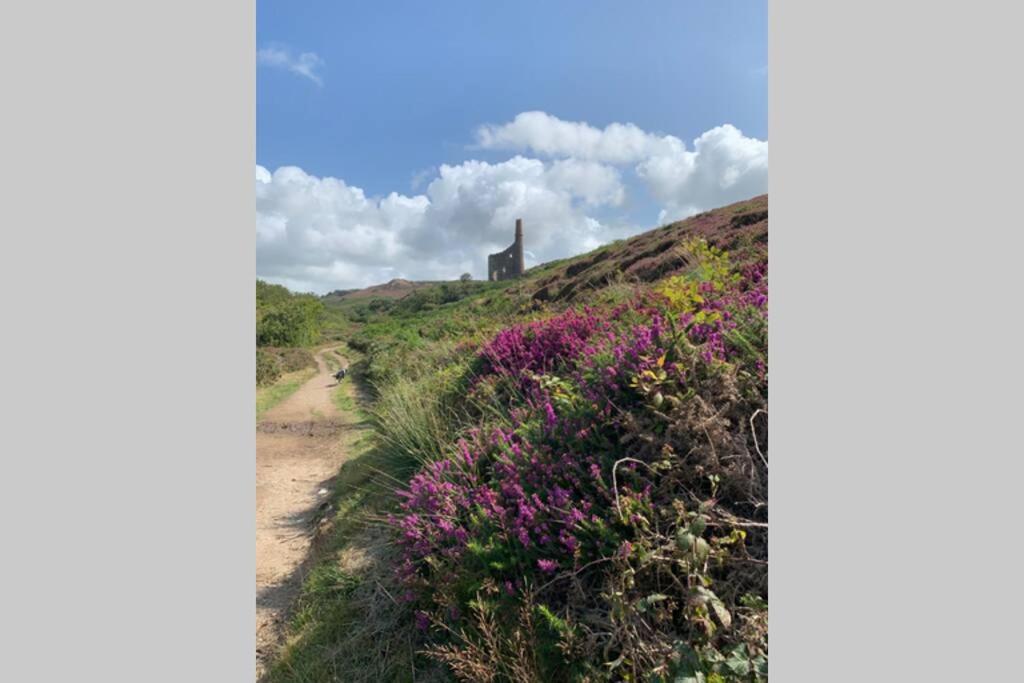 Cart Shed Cottage Truro Bagian luar foto